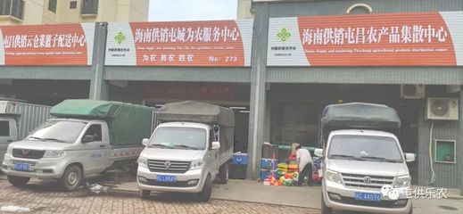 保供稳价勇担当——海南屯昌县供销合作社全力筑牢疫情防线物质保障